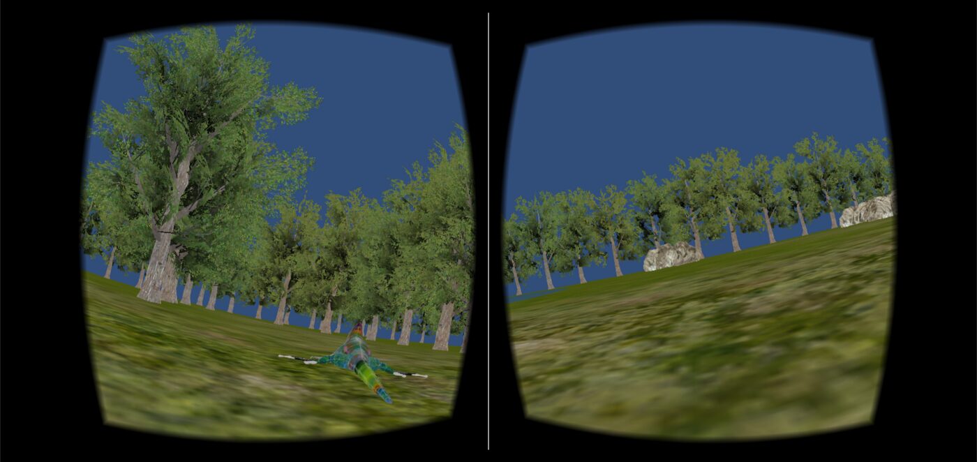 Animal Vision Experiments — chameleon view